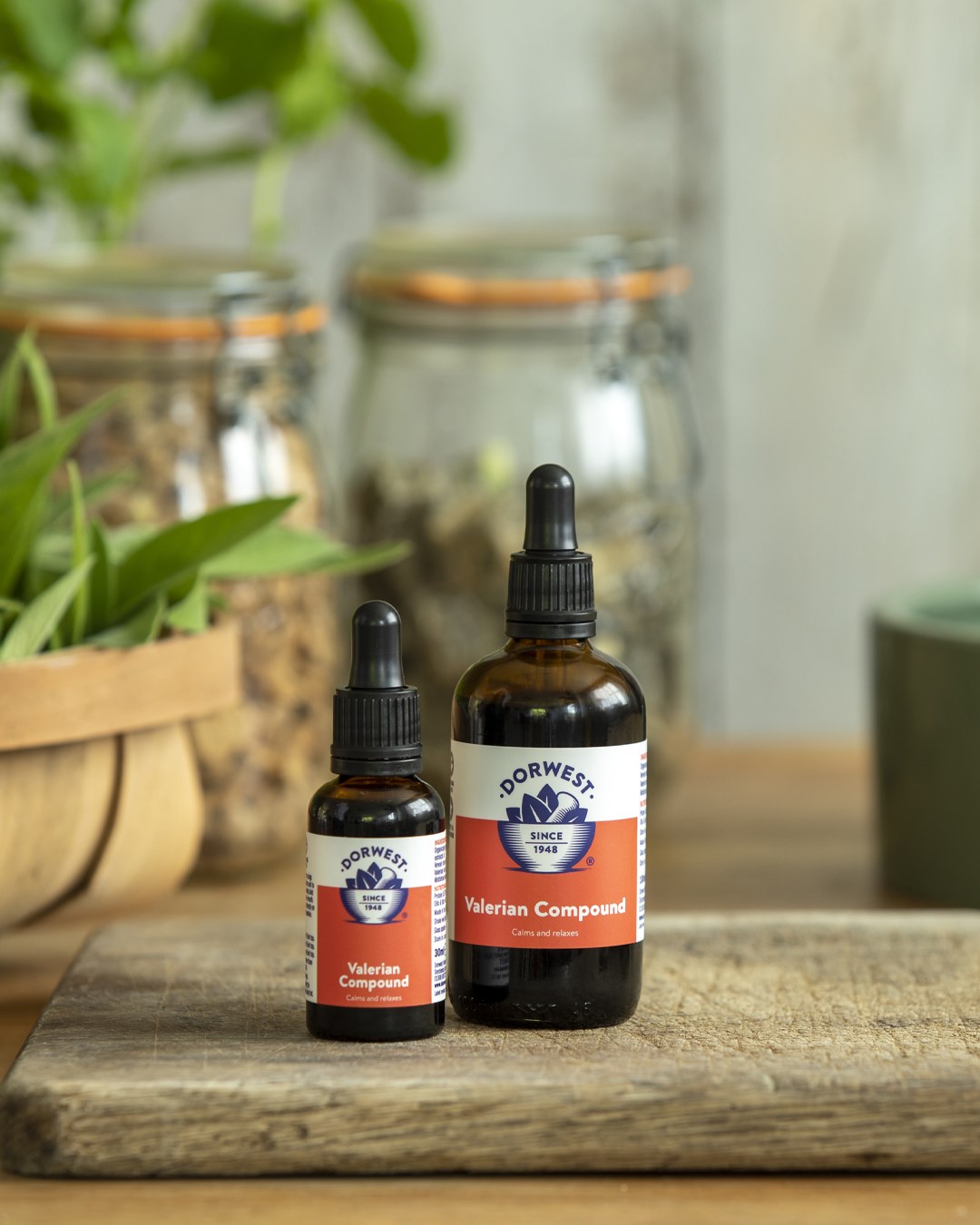 Dorwest Herbs Valerian Compound