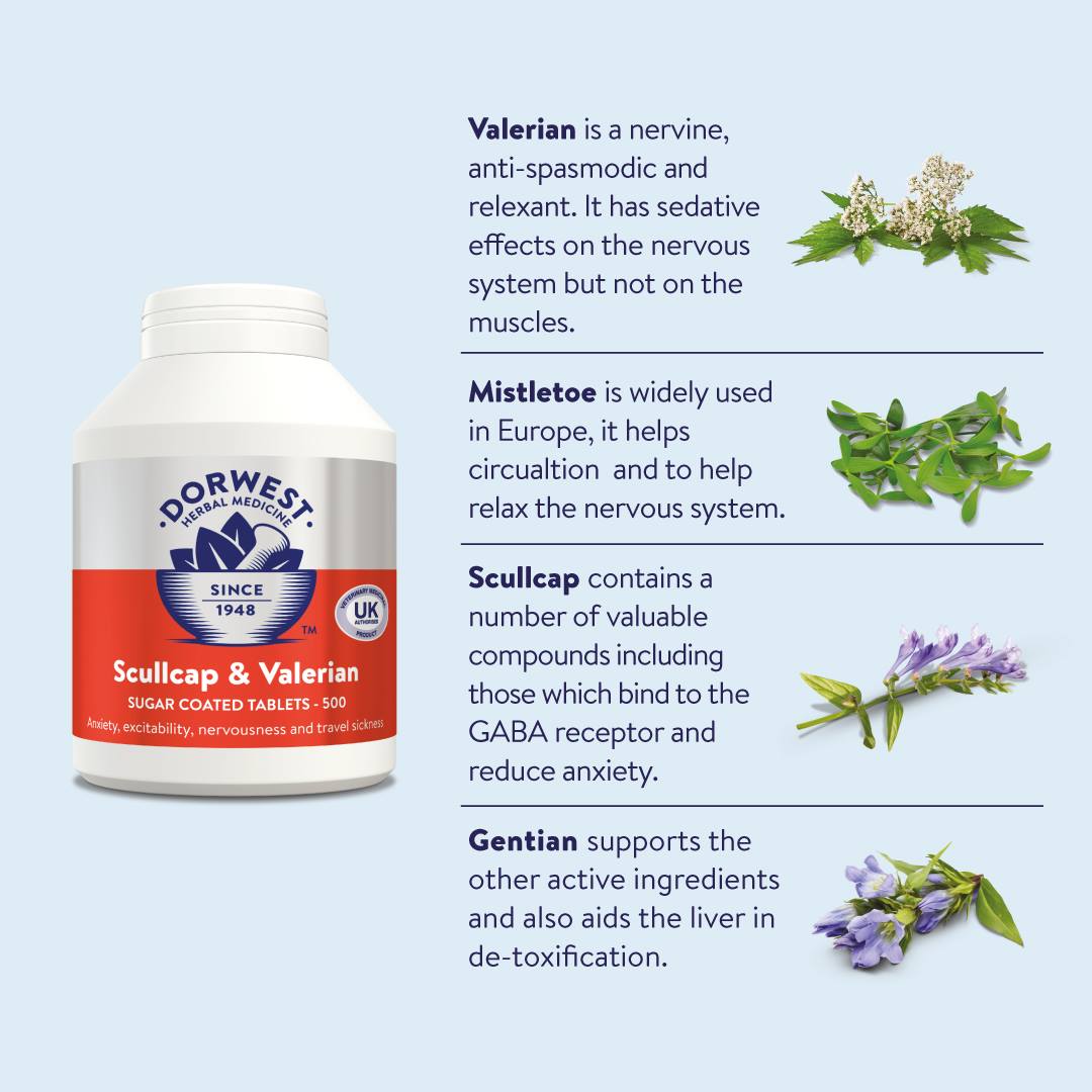 Dorwest Herbs Scullcap & Valerian Tablets