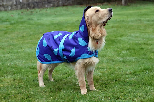 Blue Umbrellas Dog Coat
