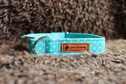 Turquoise Polka Dot Dog Collar