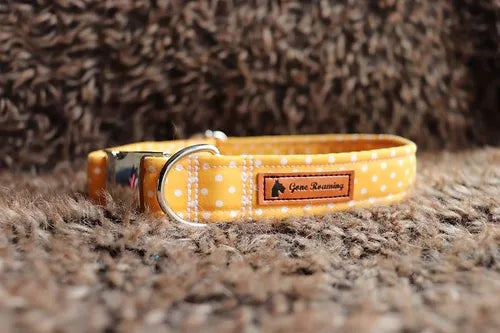 Yellow Polka Dot Dog Collar