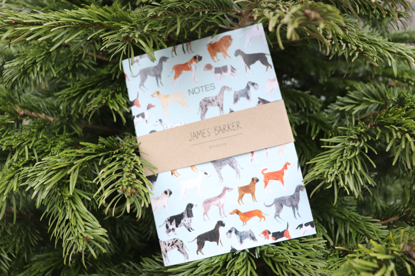 James Barker Notebook