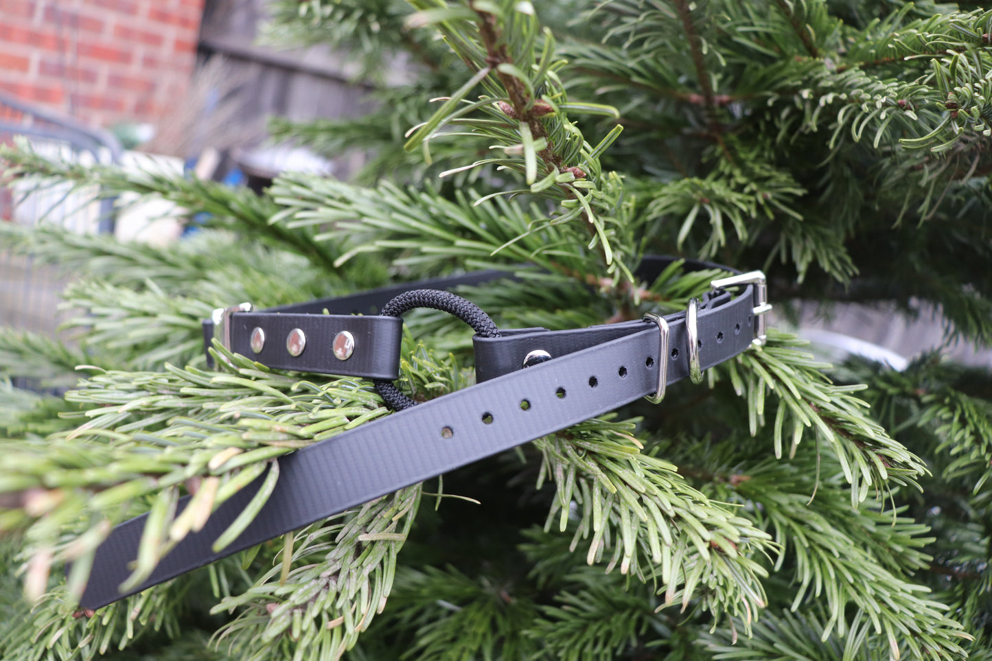 Remote Collar Bungee Strap