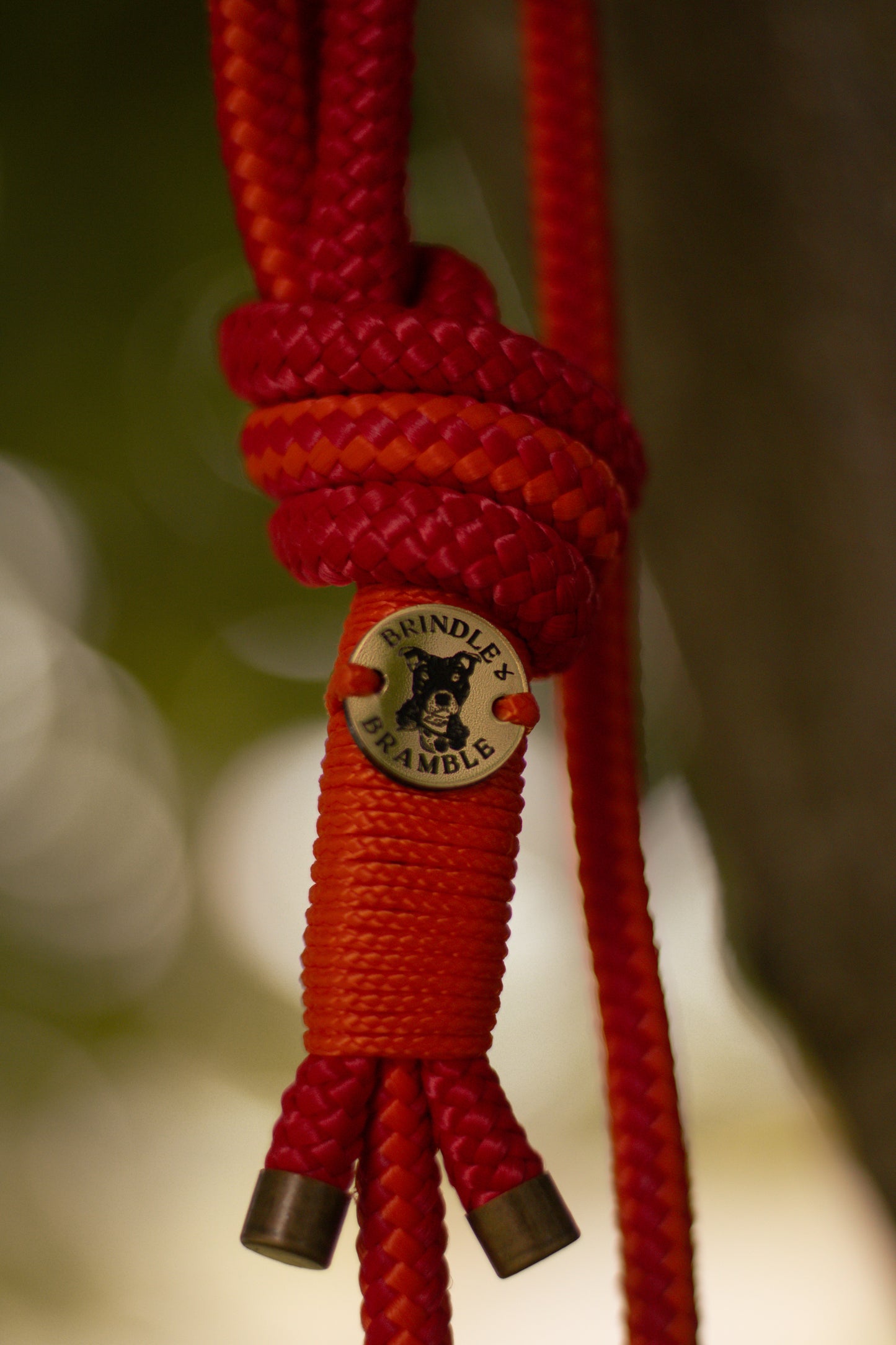 Limited Edition Brindle and Bramble leads