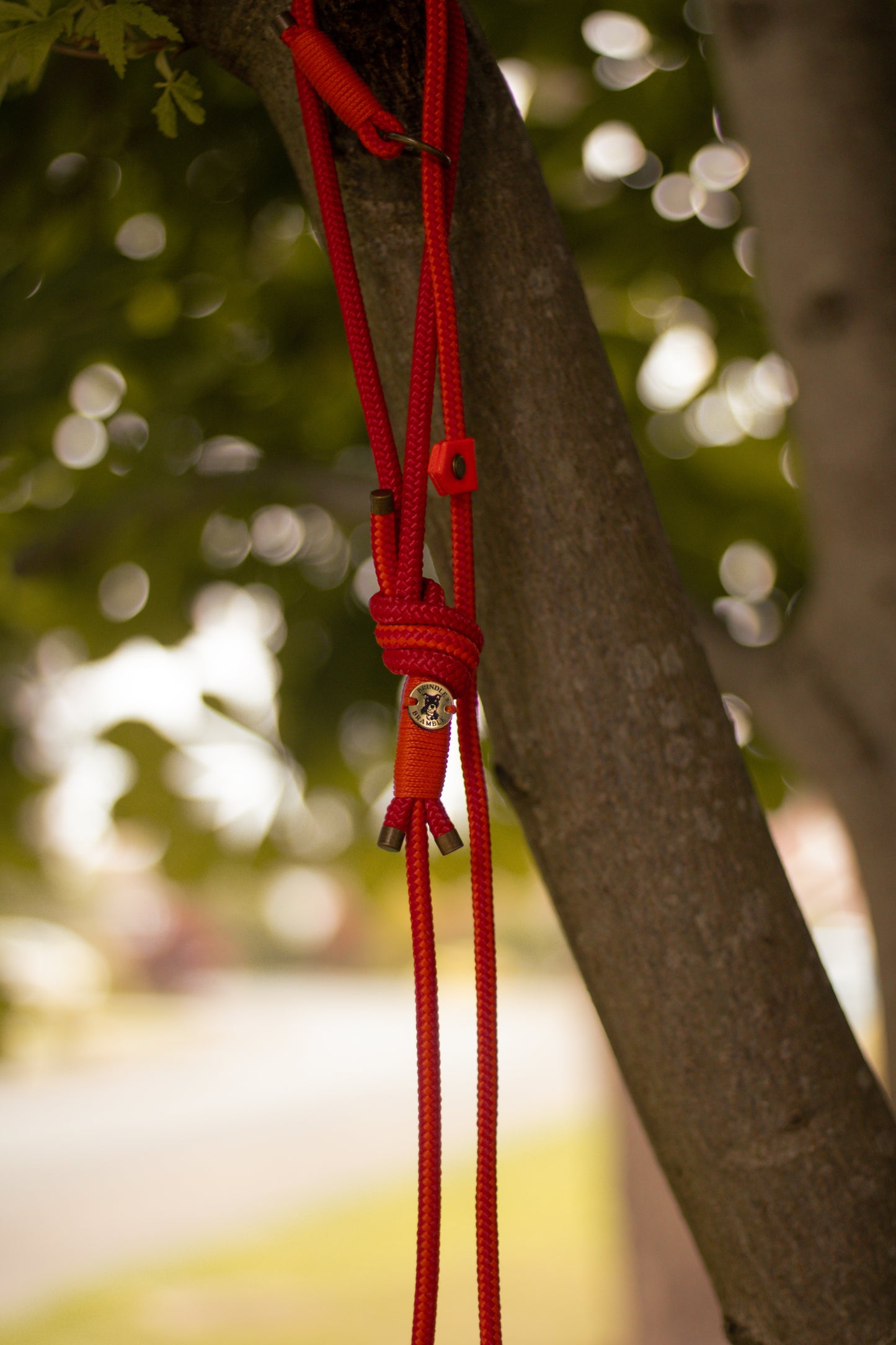 Limited Edition Brindle and Bramble leads