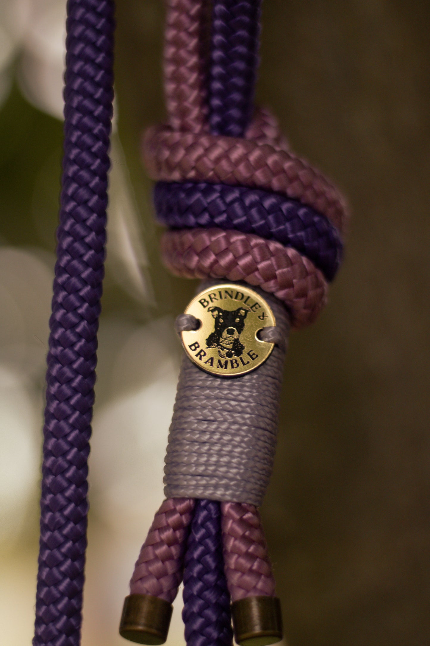 Limited Edition Brindle and Bramble leads