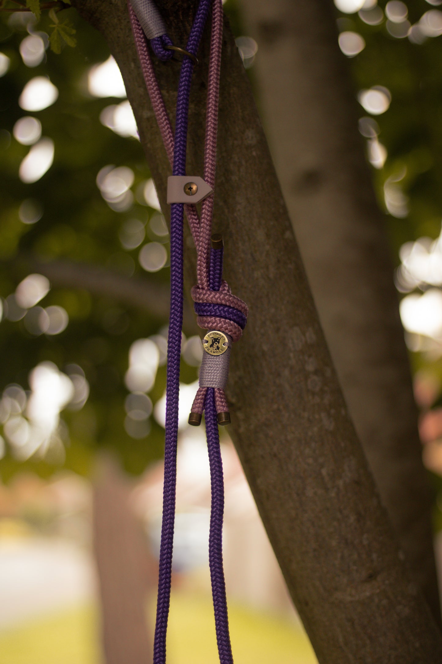 Limited Edition Brindle and Bramble leads