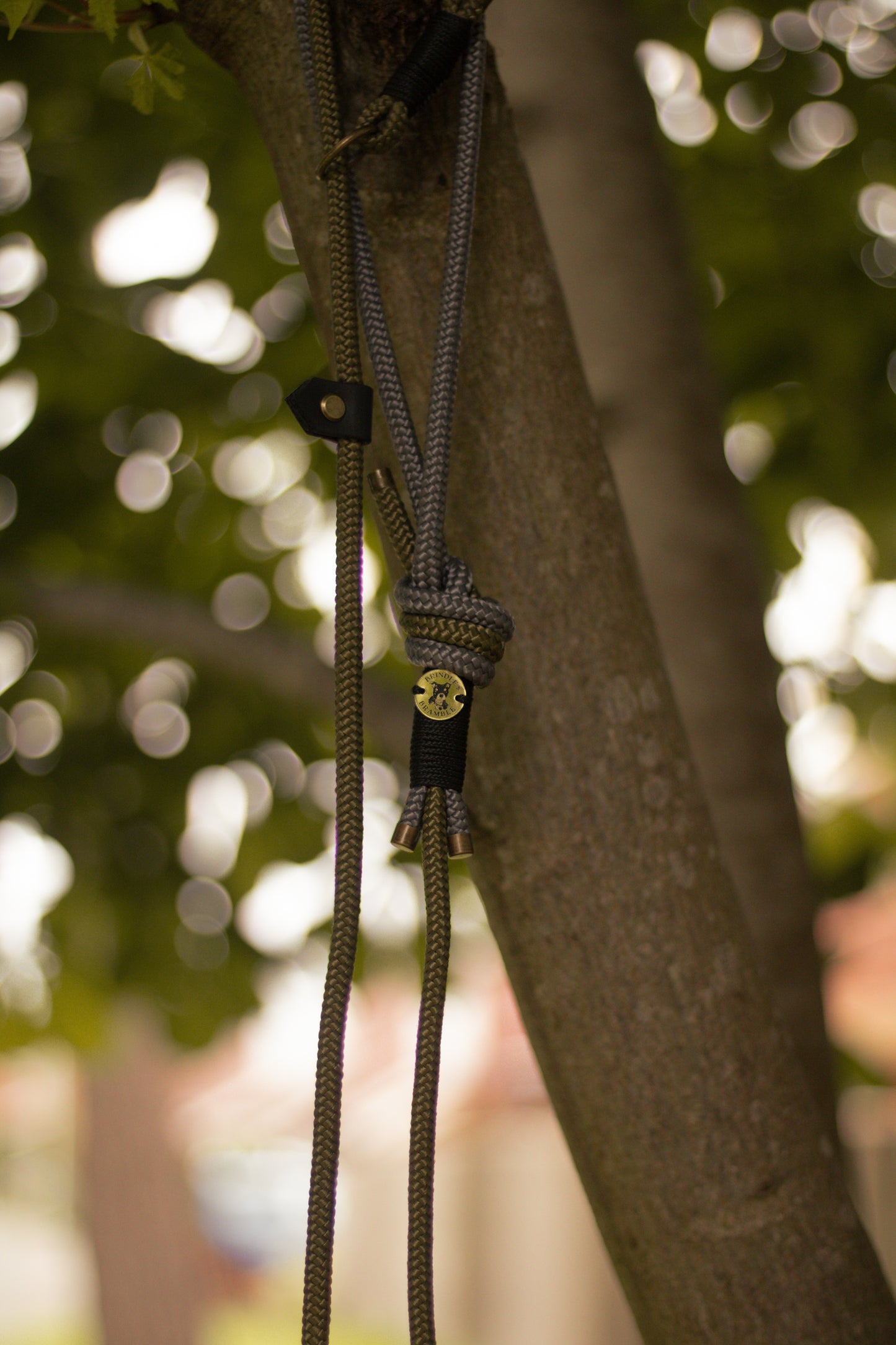 Limited Edition Brindle and Bramble leads