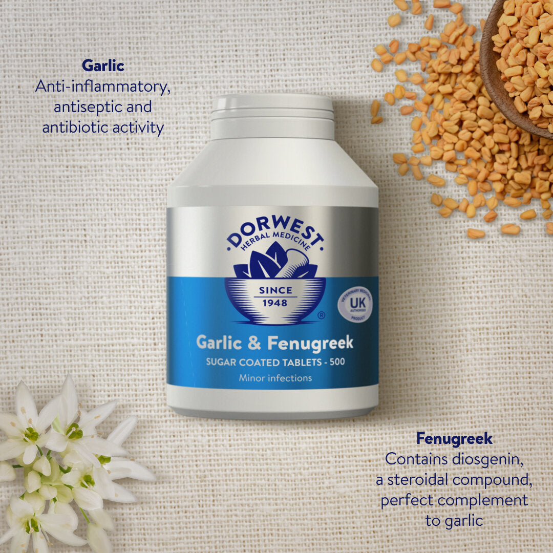 Dorwest Herbs Garlic & Fenugreek Tablets