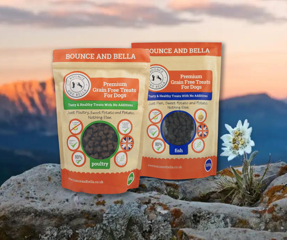 Bounce and Bella Training Treats
