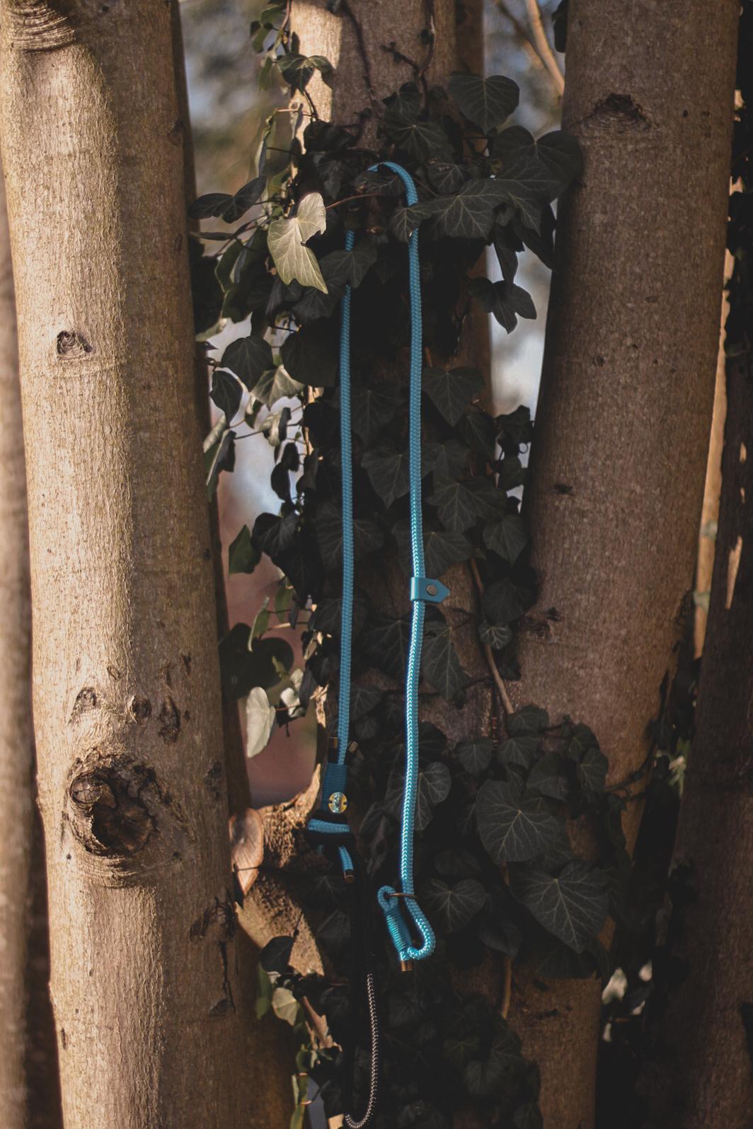 Limited Edition Brindle and Bramble leads