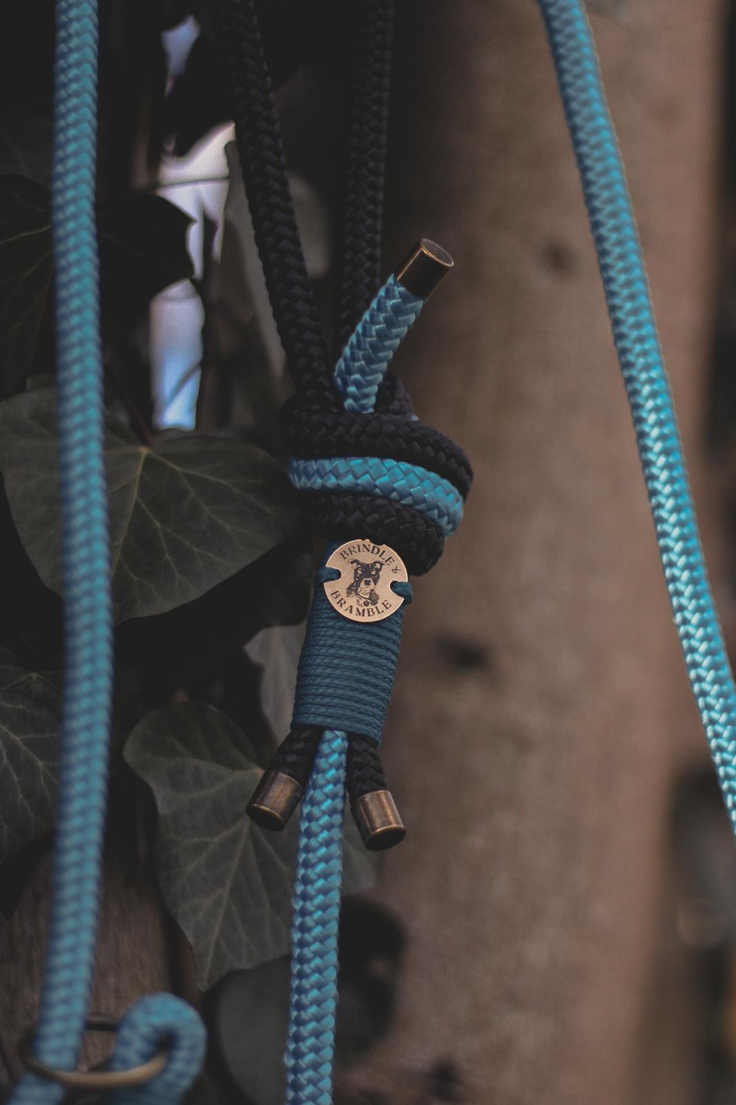Limited Edition Brindle and Bramble leads