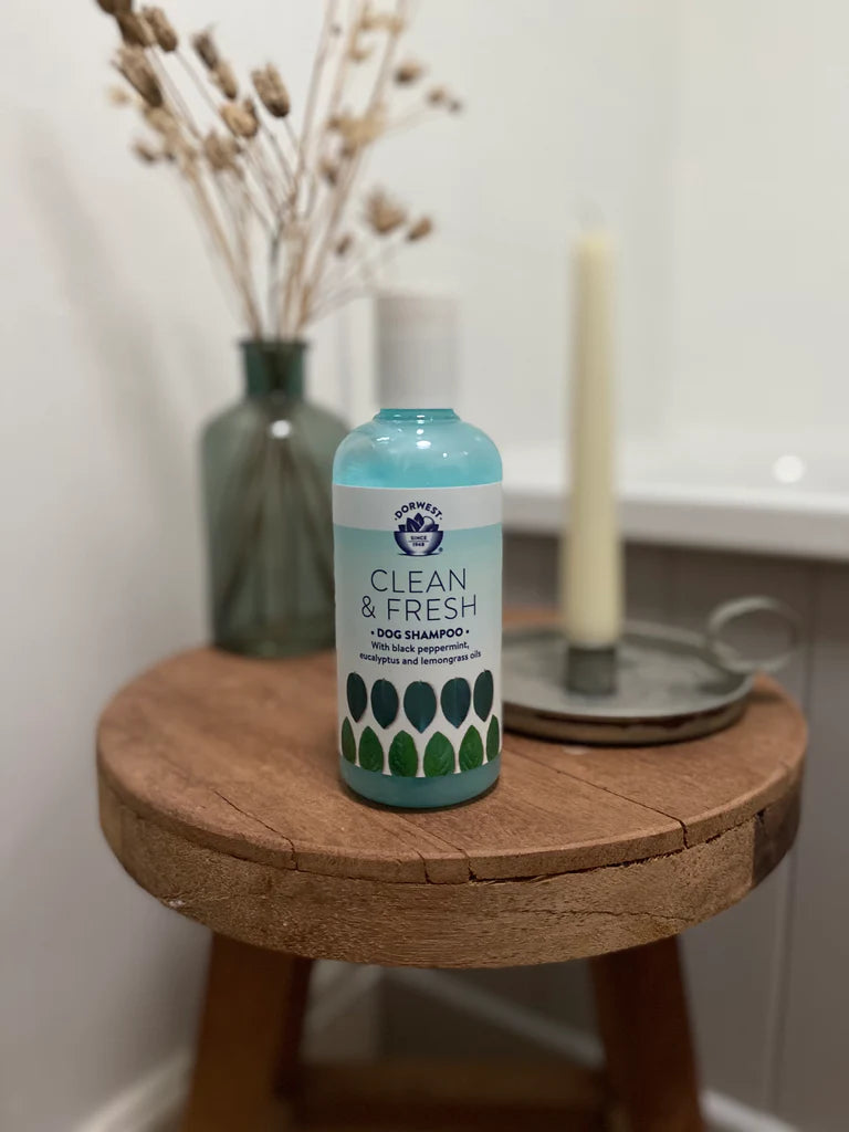 Dorwest Herbs Clean & Fresh Shampoo