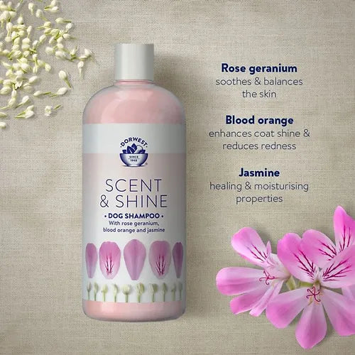Dorwest Herbs Scent & Shine Shampoo