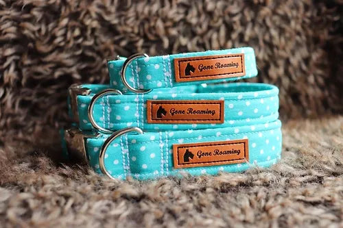 Turquoise Polka Dot Dog Collar