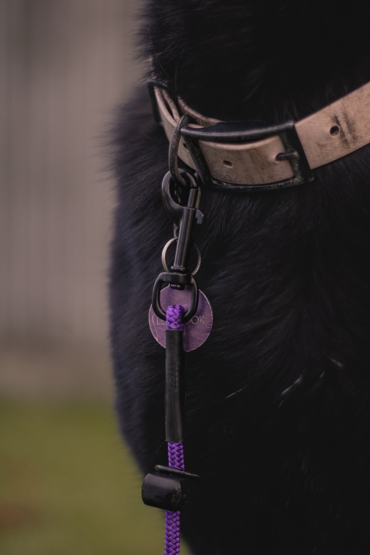 HorizonK9 slip & clip lead