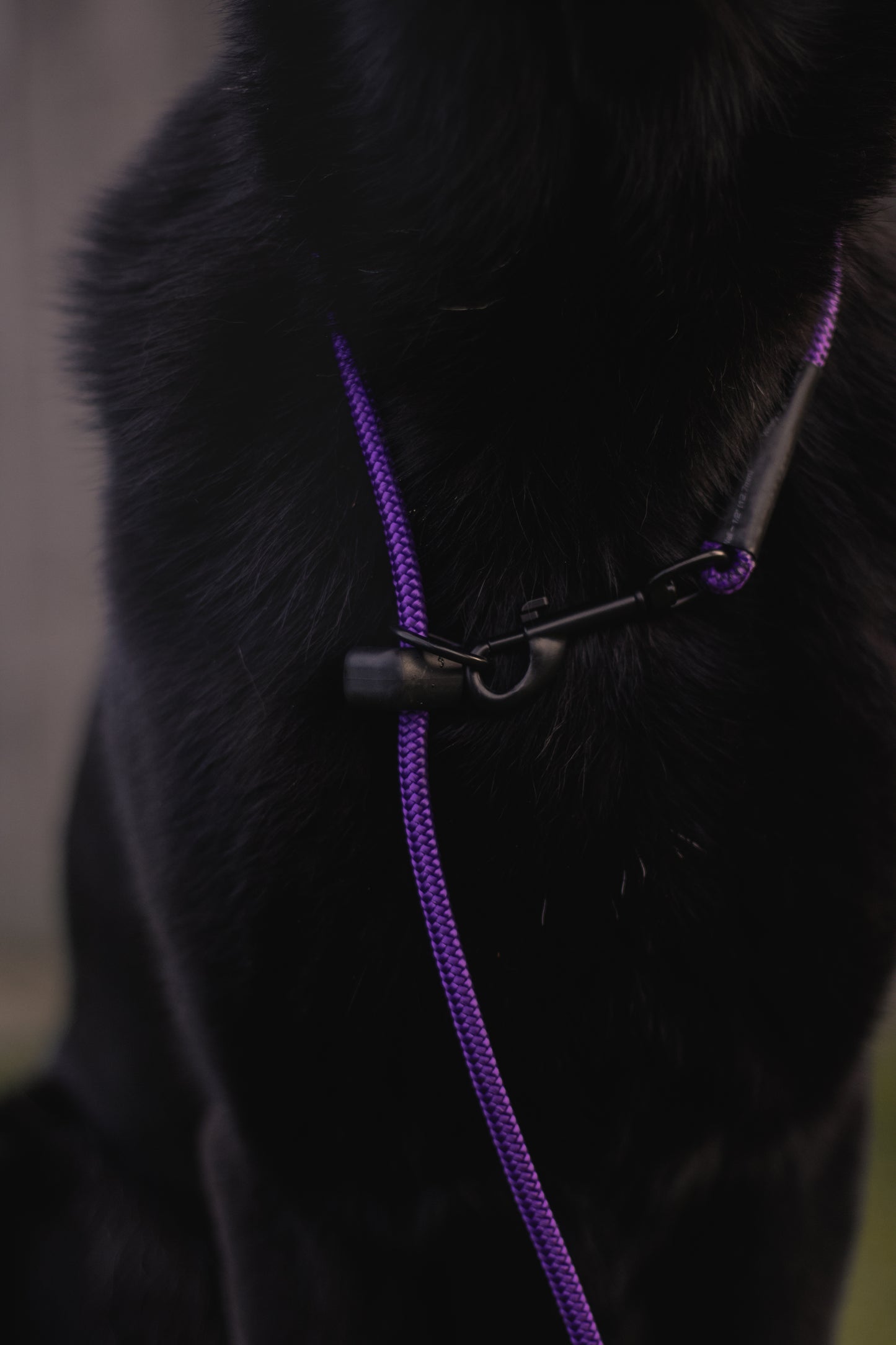 HorizonK9 slip & clip lead