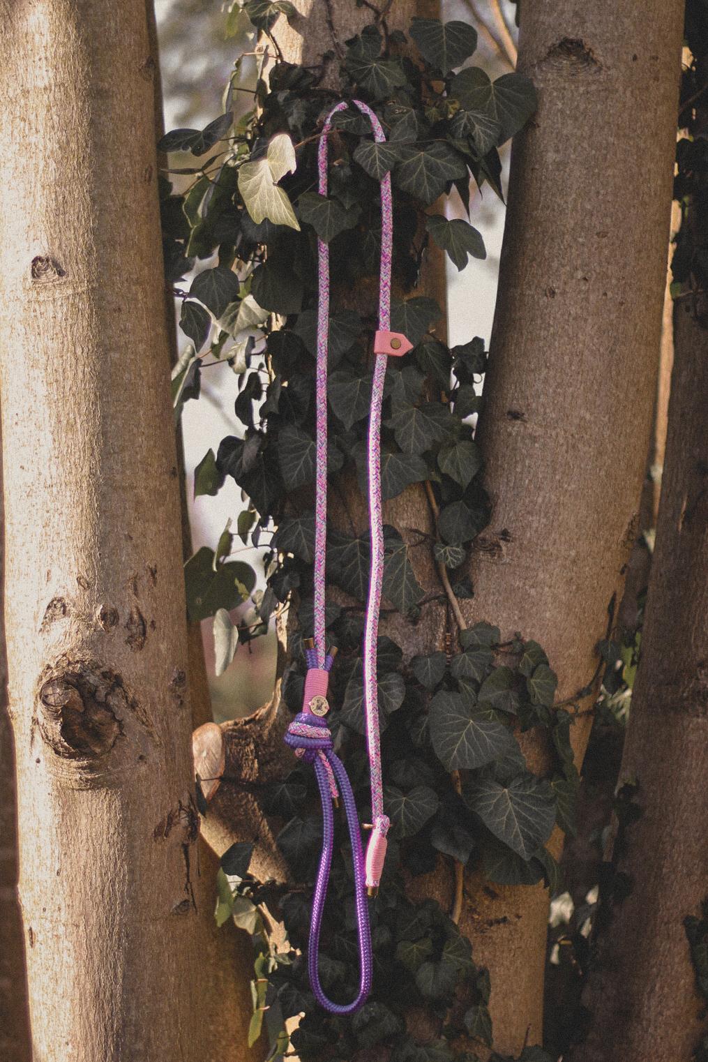Limited Edition Brindle and Bramble leads