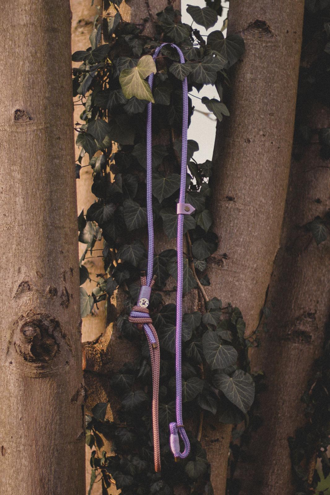 Limited Edition Brindle and Bramble leads