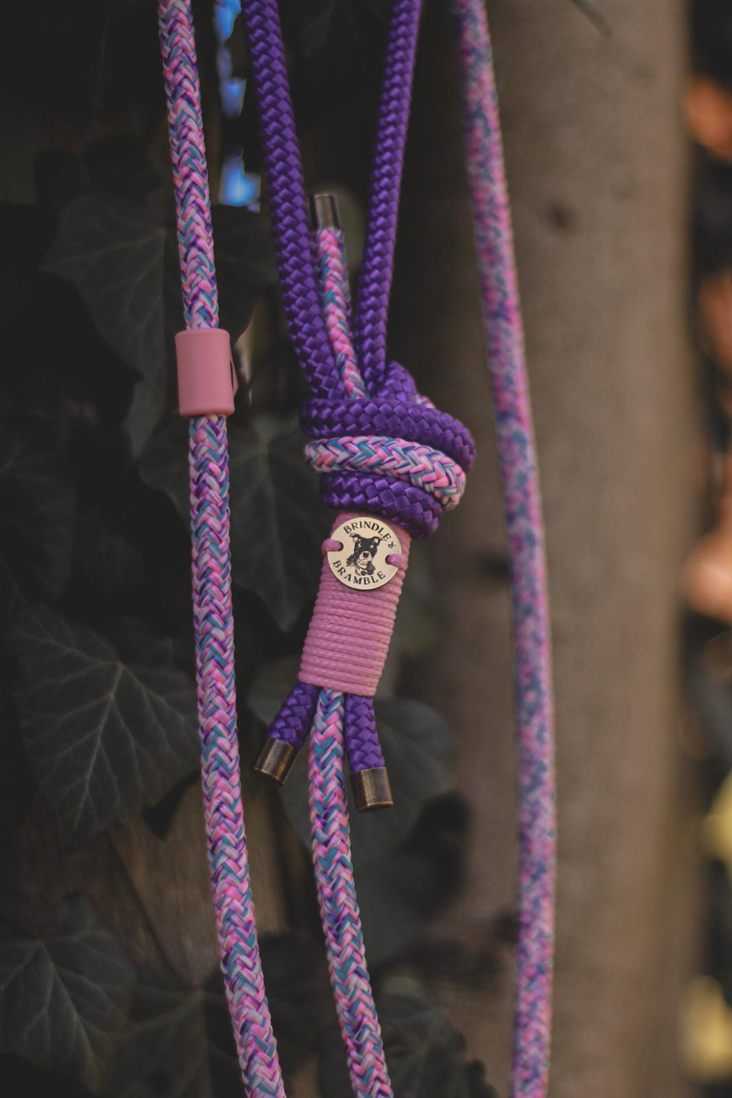 Limited Edition Brindle and Bramble leads